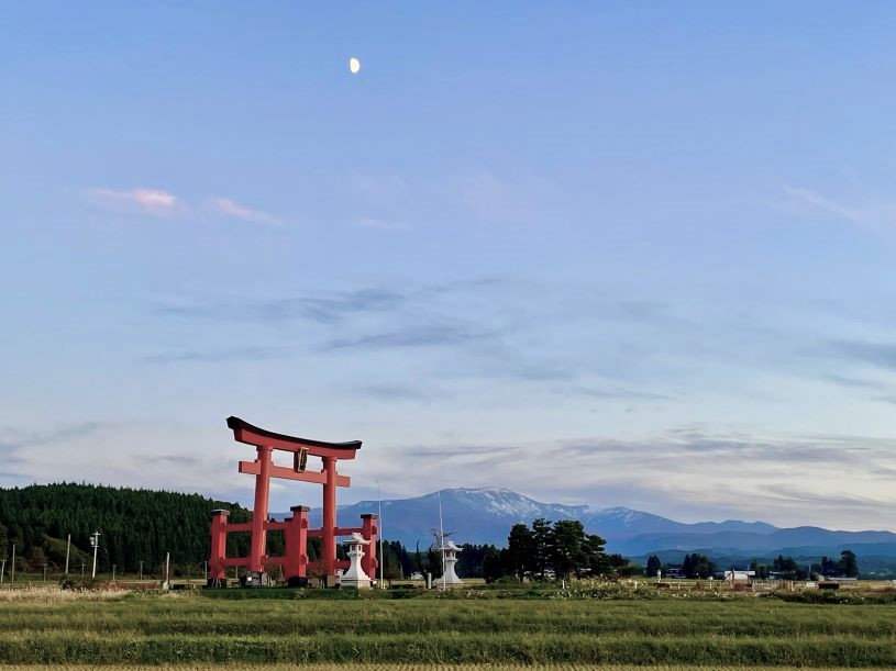 画像5