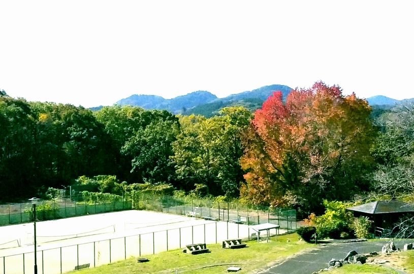 画像2