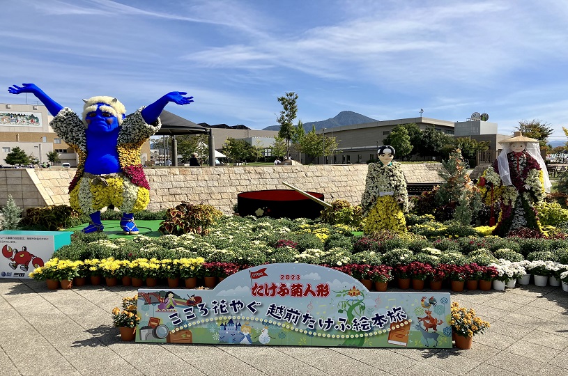 画像5