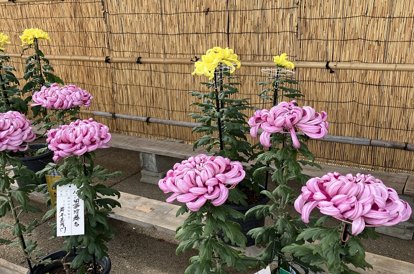 画像2