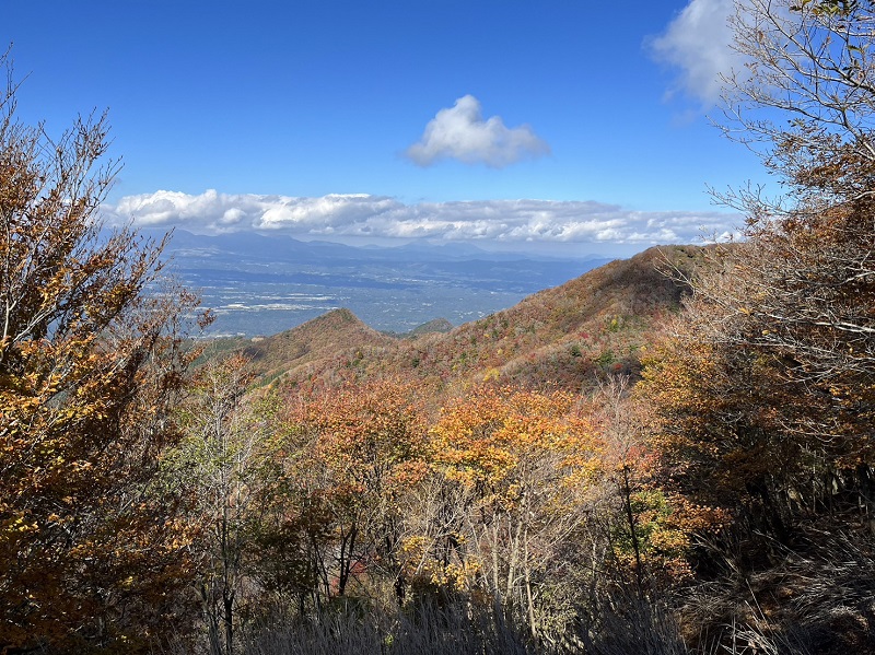 画像1