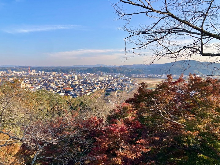 画像1