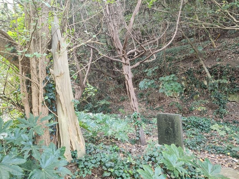画像3