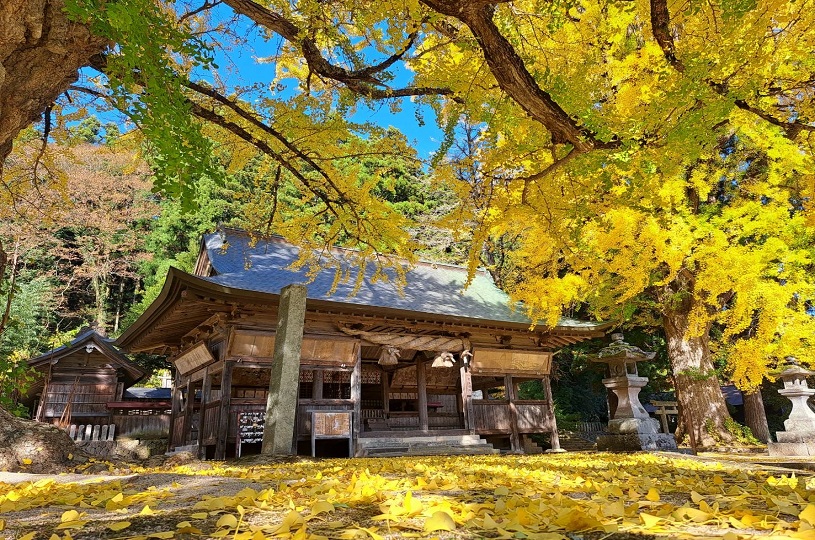 画像4