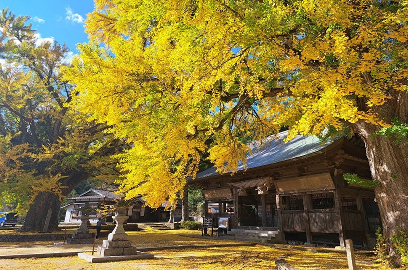 画像5