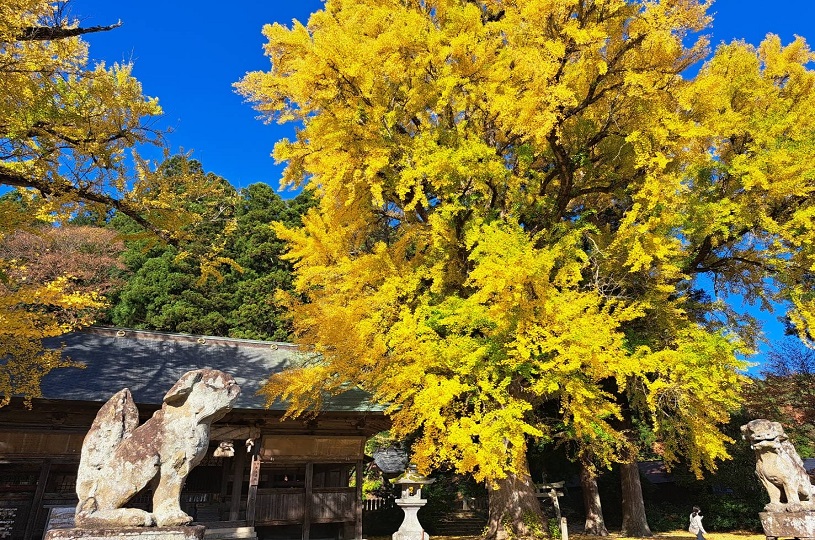 画像3
