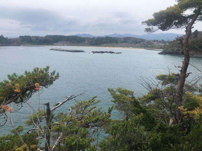 画像2