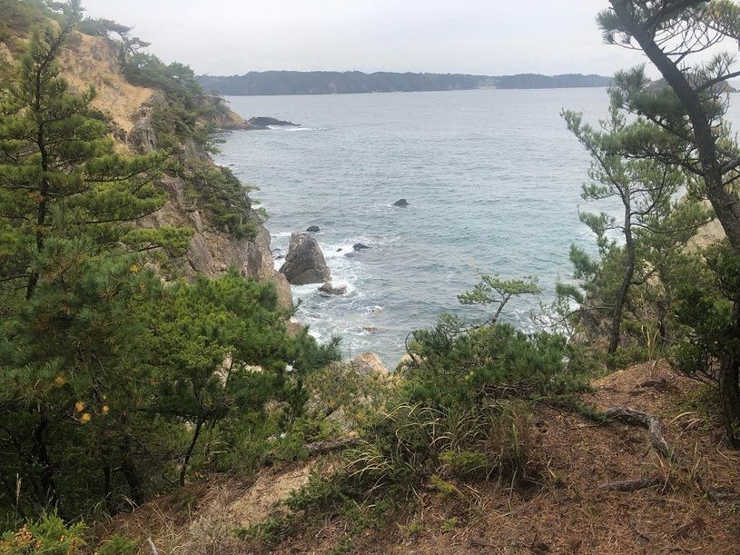 画像3