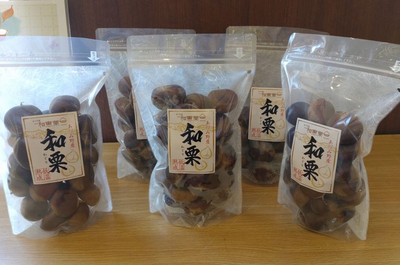 画像1