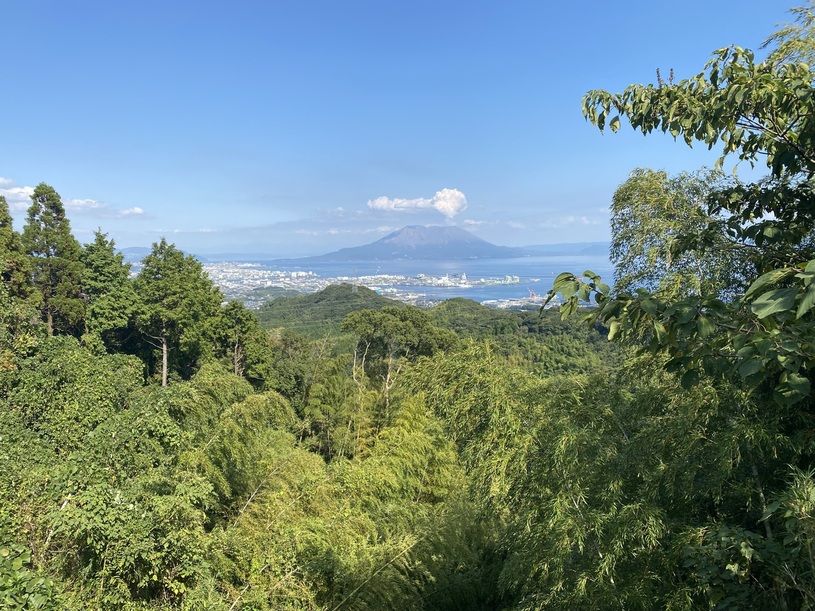 画像4