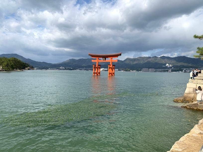 画像1