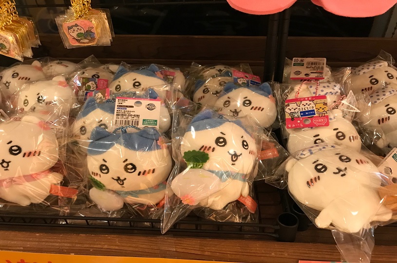 画像5
