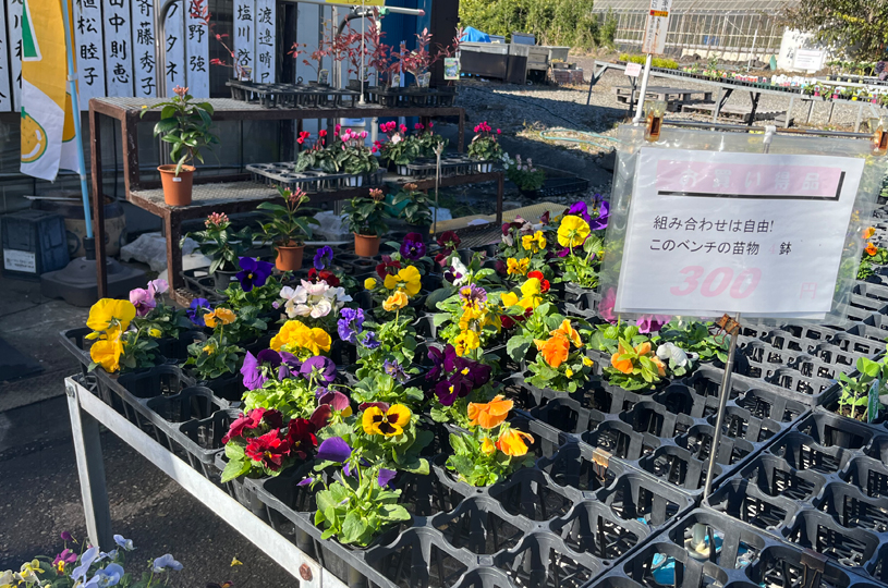 画像5