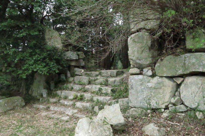 画像5
