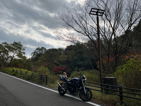 画像1