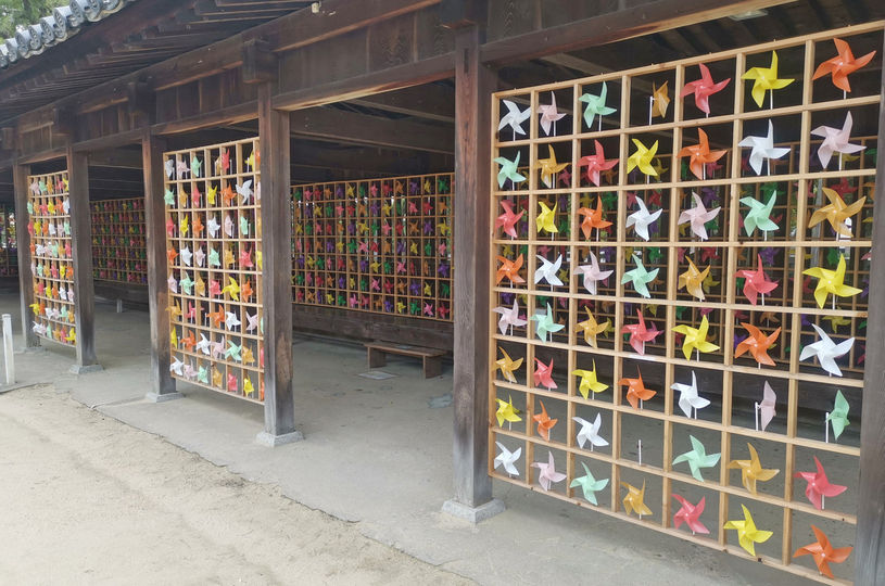 画像5