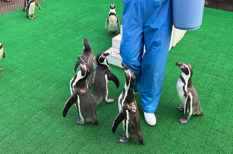 画像3