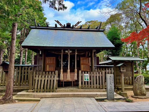 画像3