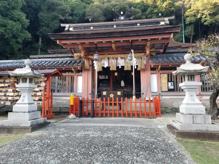 画像4