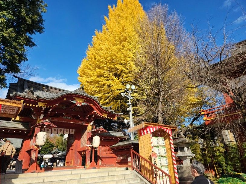 画像1