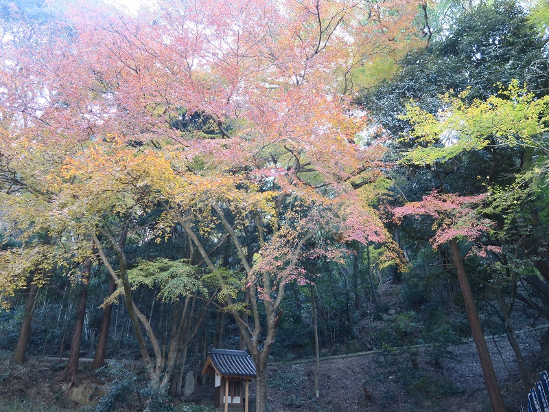 画像2
