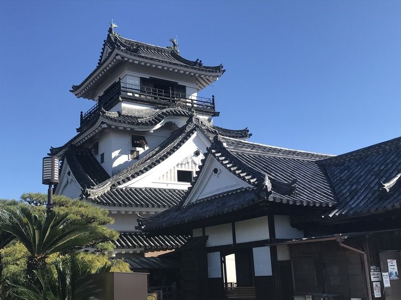 画像2