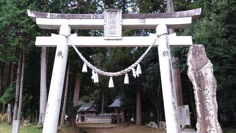 画像1