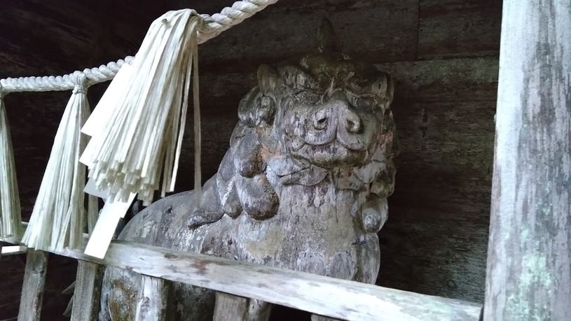 画像4