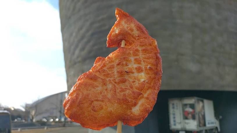 画像4