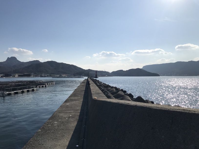 画像3