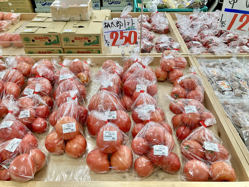 画像5