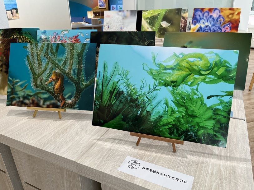 画像2