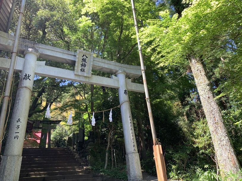 画像2