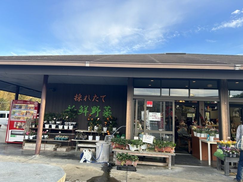 画像1