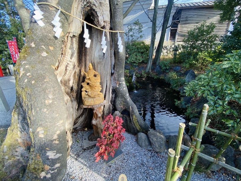 画像1