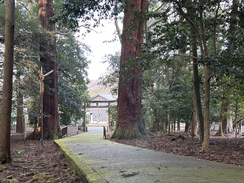 画像4