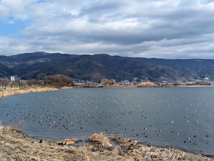 画像1