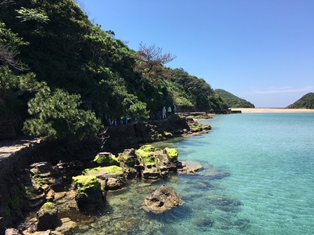 画像1
