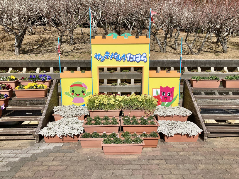 画像1