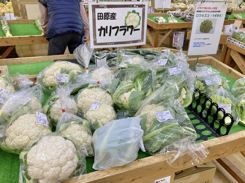 画像4