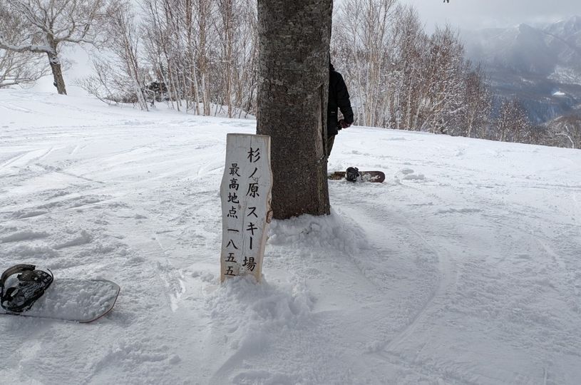 画像1