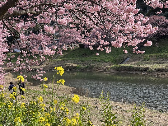 画像2