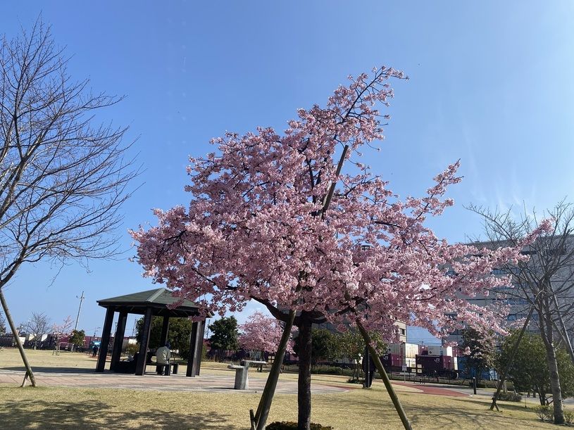 画像2