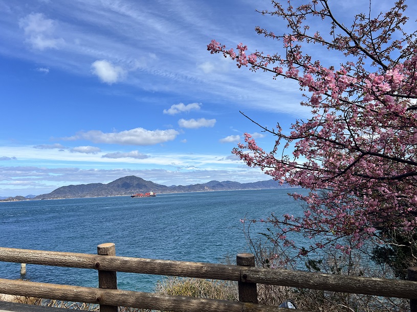 画像2