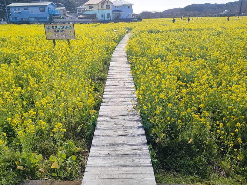 画像2
