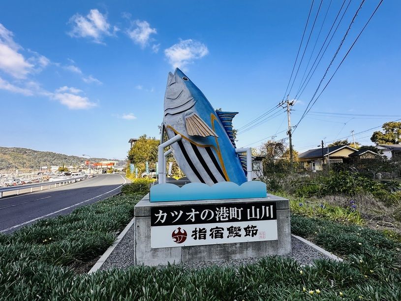 画像5