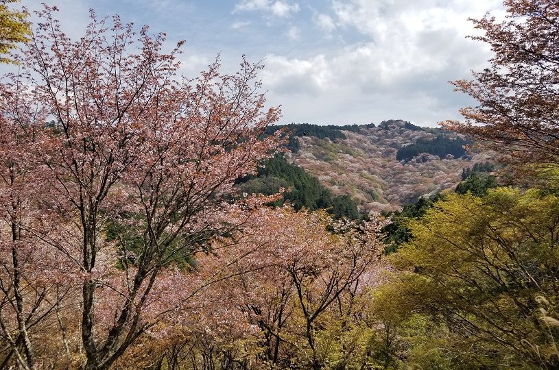 画像2