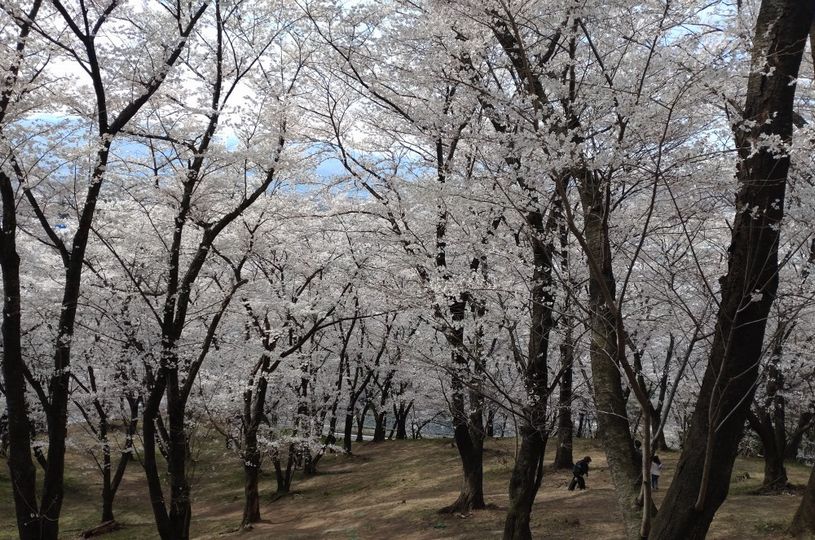 画像3