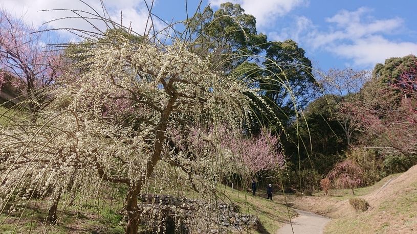 画像2