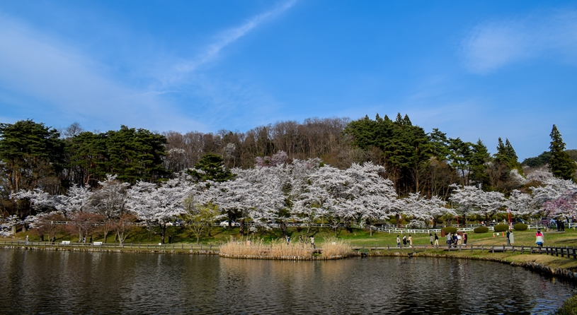 盛岡 高松の池（高松公園）